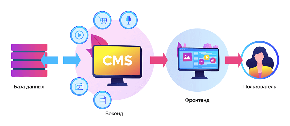 Что включают в себя CMS и конструкторы сайтов?